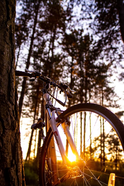 Branches white bike hard end
